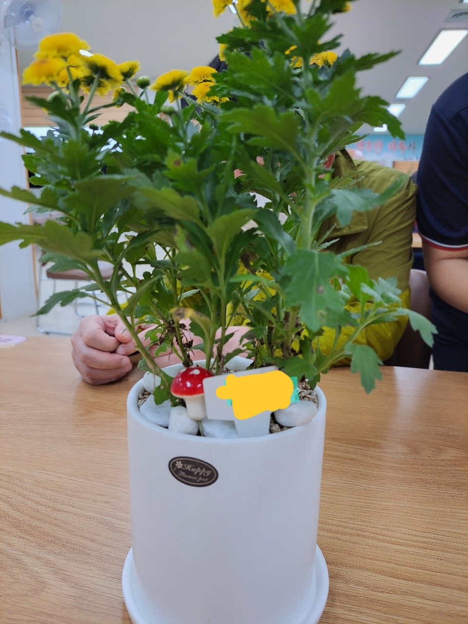 f724c42135071cd754793fcb6b65fe10_1667008770_5967.jpg f724c42135071cd754793fcb6b65fe10_1667008770_5967.jpg