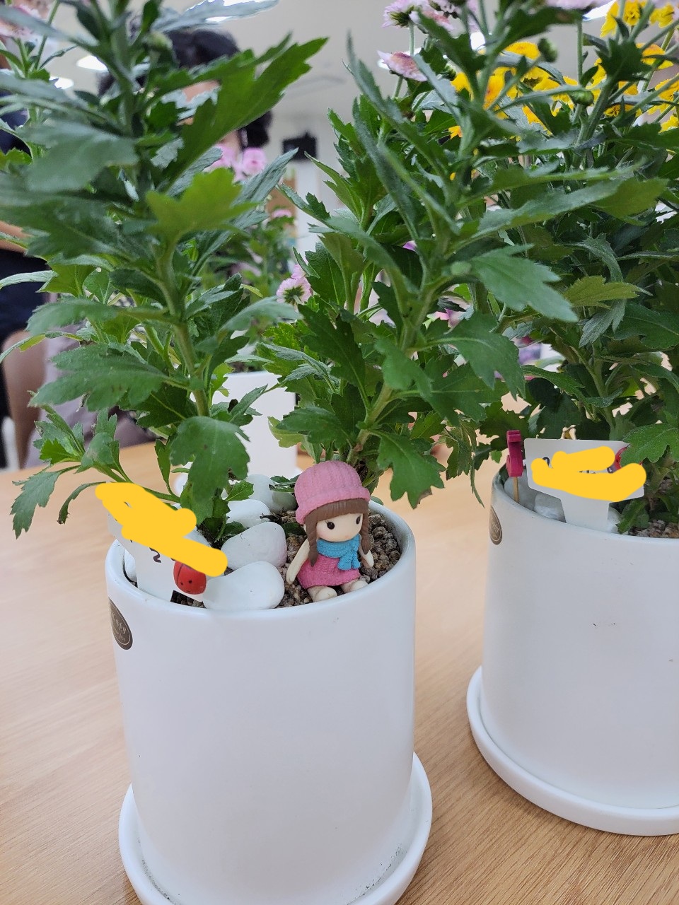 f724c42135071cd754793fcb6b65fe10_1667008770_6569.jpg f724c42135071cd754793fcb6b65fe10_1667008770_6569.jpg