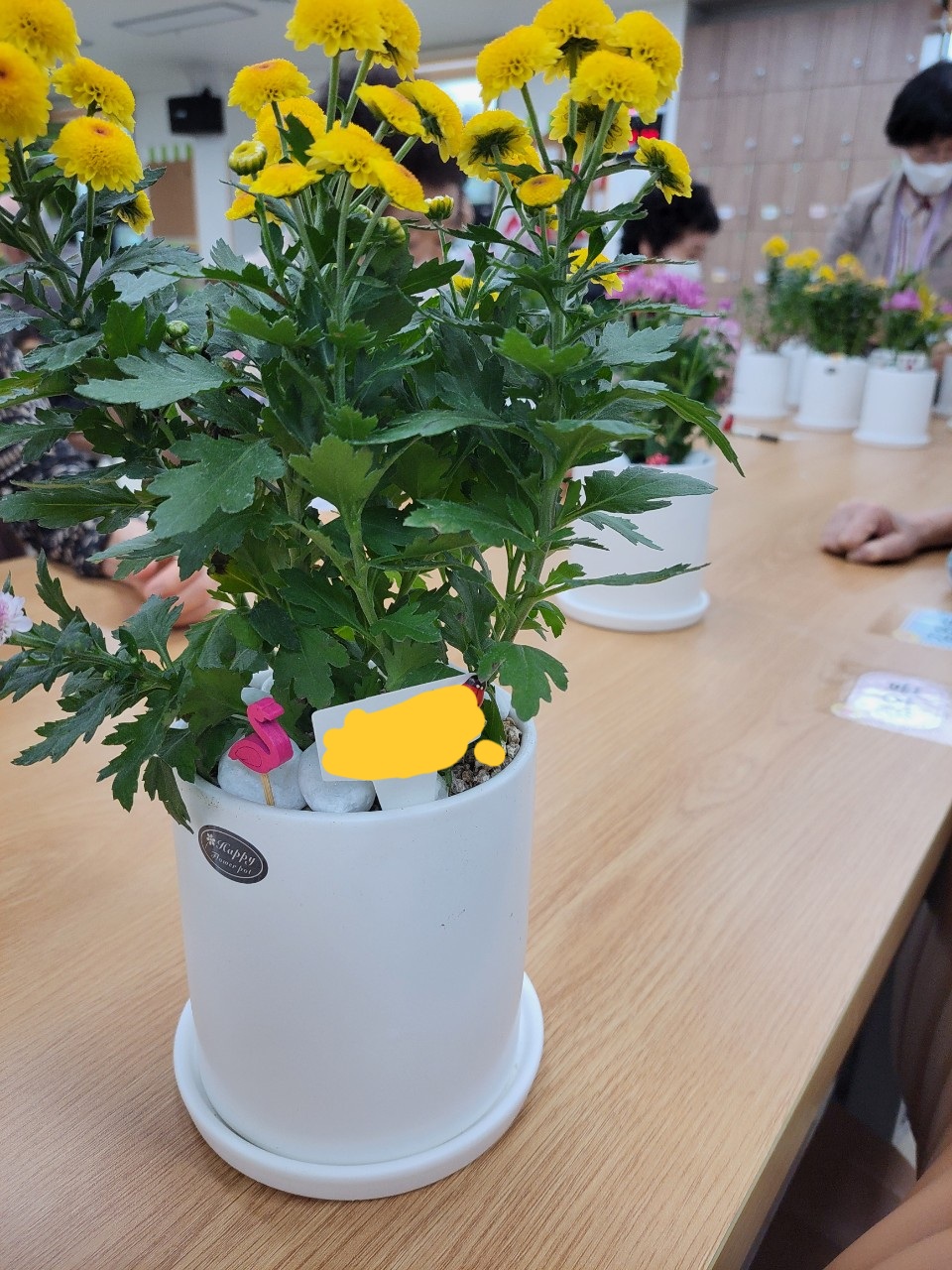 f724c42135071cd754793fcb6b65fe10_1667008770_7234.jpg f724c42135071cd754793fcb6b65fe10_1667008770_7234.jpg