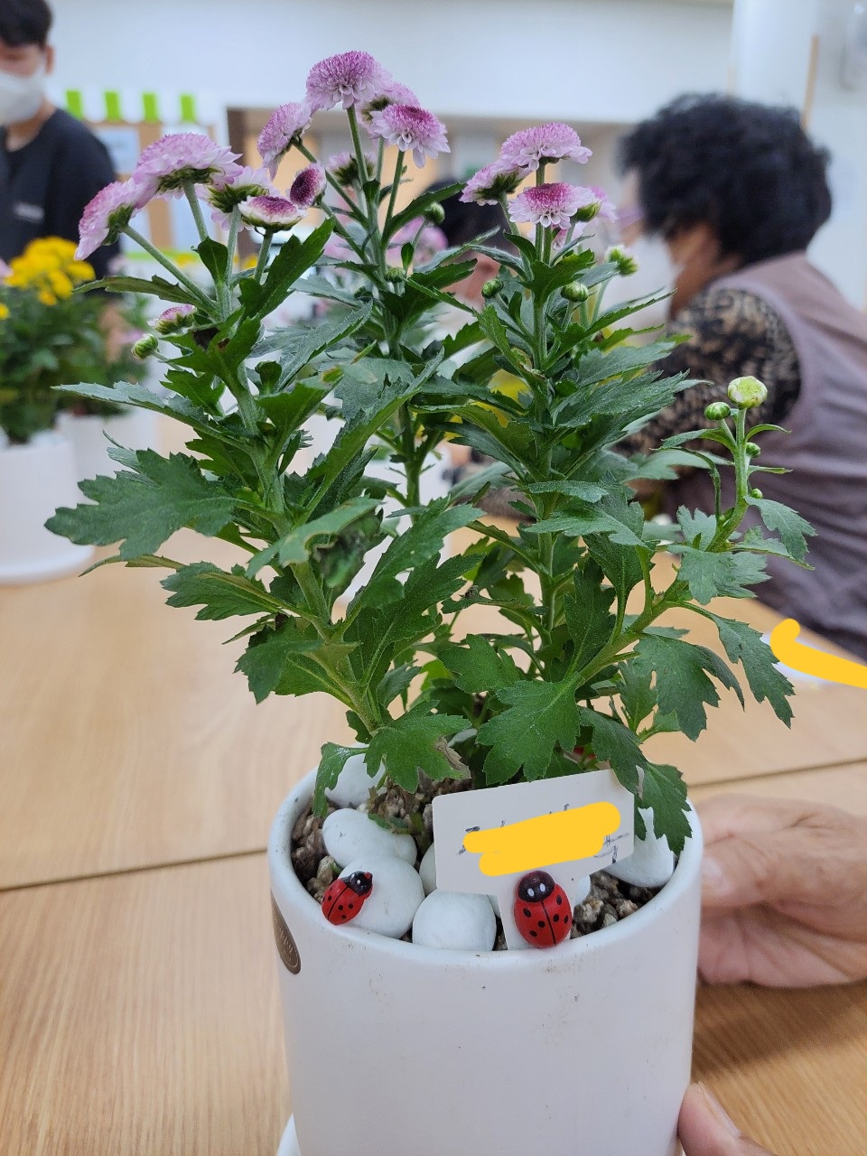 f724c42135071cd754793fcb6b65fe10_1667008770_9012.jpg f724c42135071cd754793fcb6b65fe10_1667008770_9012.jpg